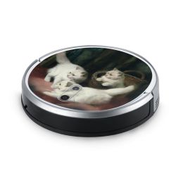 Foils for Smart Home matt