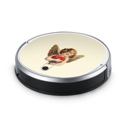 Folier Smart Home matt