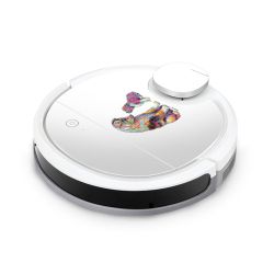 Foils for Smart Home matt