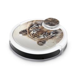 Foils for Smart Home matt