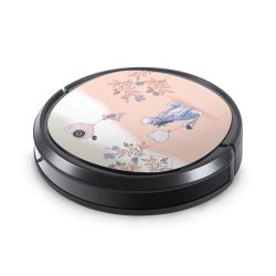 Foils for Smart Home matt