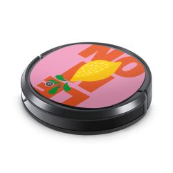 Foils for Smart Home matt