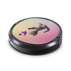 Foils for Smart Home matt