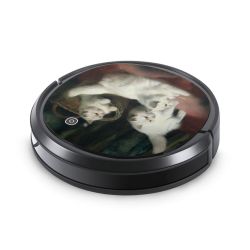 Foils for Smart Home matt