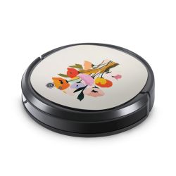 Foils for Smart Home matt