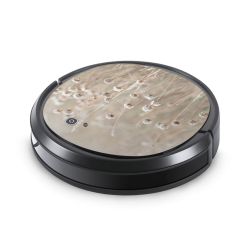 Foils for Smart Home matt