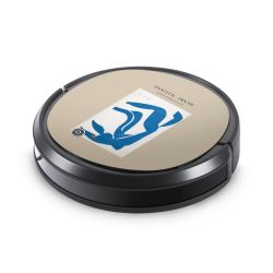 Foils for Smart Home matt