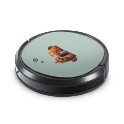 Folier Smart Home matt