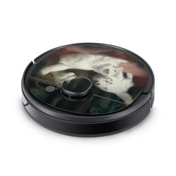 Foils for Smart Home matt