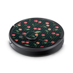 Foils for Smart Home matt