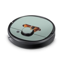 Folier Smart Home matt