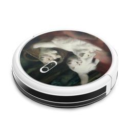 Foils for Smart Home matt