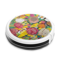 Foils for Smart Home matt