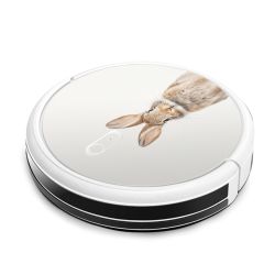 Foils for Smart Home matt