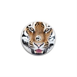 Folien für weitere Geräte matt