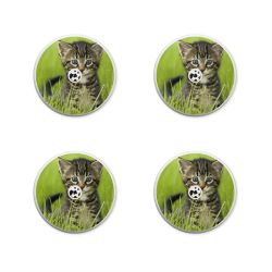 Folien für weitere Geräte matt