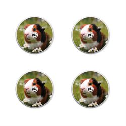 Folien für weitere Geräte matt