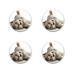 Folien für weitere Geräte matt