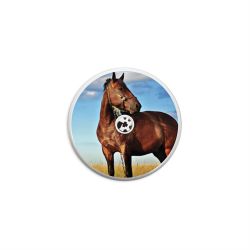 Folien für weitere Geräte matt