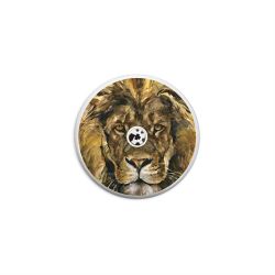 Folien für weitere Geräte matt