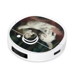 Foils for Smart Home matt