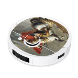 Foils for Smart Home matt