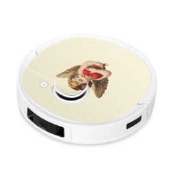 Foils for Smart Home matt