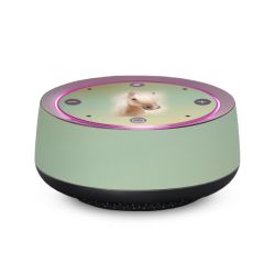 Folien für SmartHome matt