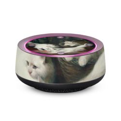 Folien für SmartHome matt