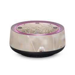 Folien für SmartHome matt