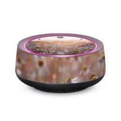 Folien für SmartHome matt