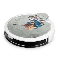 Foils for Smart Home matt