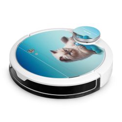Foils for Smart Home matt