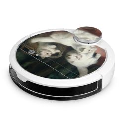 Foils for Smart Home matt