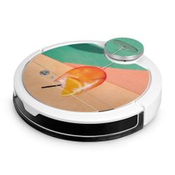 Foils for Smart Home matt