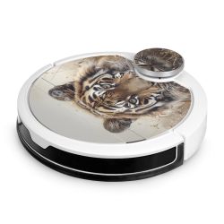 Foils for Smart Home matt