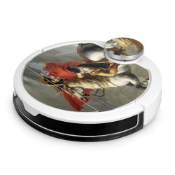 Foils for Smart Home matt