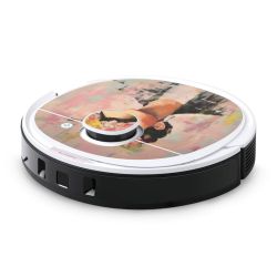 Foils for Smart Home matt