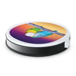 Foils for Smart Home matt