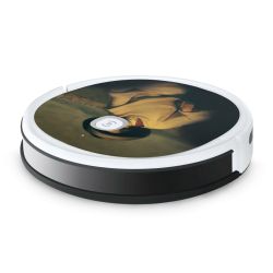 Foils for Smart Home matt