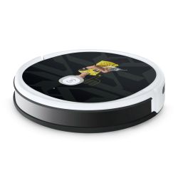 Foils for Smart Home matt