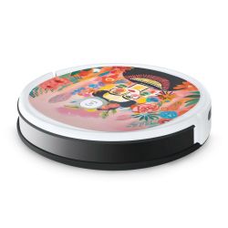 Foils for Smart Home matt