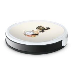 Foils for Smart Home matt