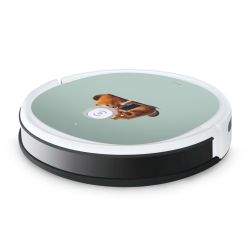 Folier Smart Home matt