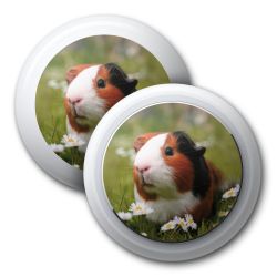 Foils for Apple AirTags glossy