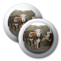 Foils for Apple AirTags glossy