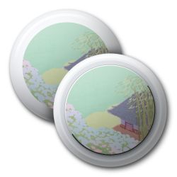 Foils for Apple AirTags glossy