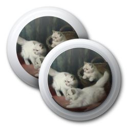 Foils for Apple AirTags matt