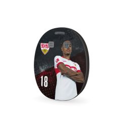 Folien für weitere Geräte matt