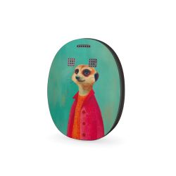 Foils for Other Devices matt